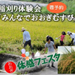 第7回 大木米を実らせ隊・稲刈り体験会「みんなでおおぎむすび」